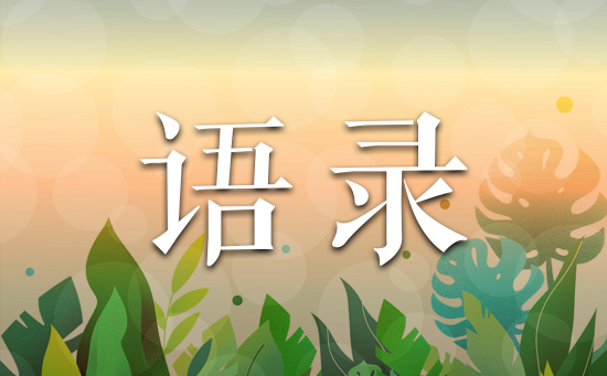 导师技能特长评语(收集50句)