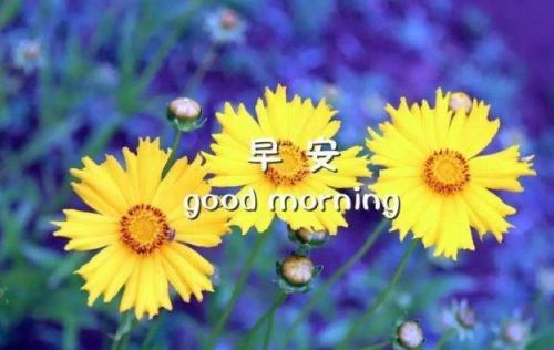 å¾ç