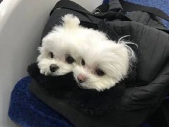 唯美治愈系短句（精选38句）