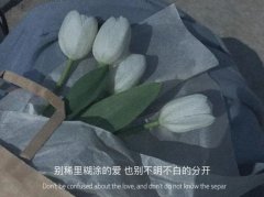 说说朋友圈的心情句子37句